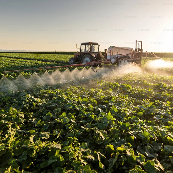 Vista aérea de un campo de cultivo dividido en dos parcelas